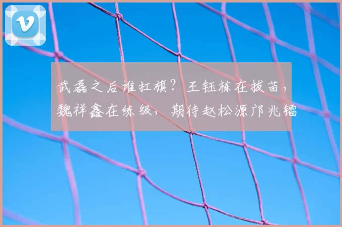 武磊之后谁扛旗？王钰栋在拔苗，魏祥鑫在练级，期待赵松源邝兆镭