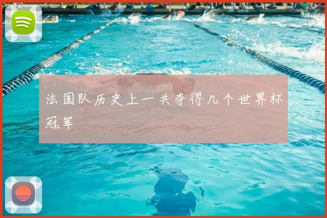法国队历史上一共夺得几个世界杯冠军