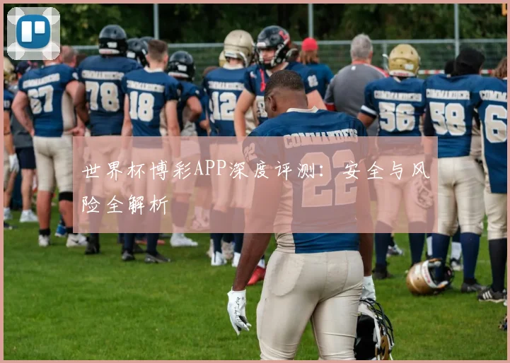 世界杯博彩APP深度评测：安全与风险全解析