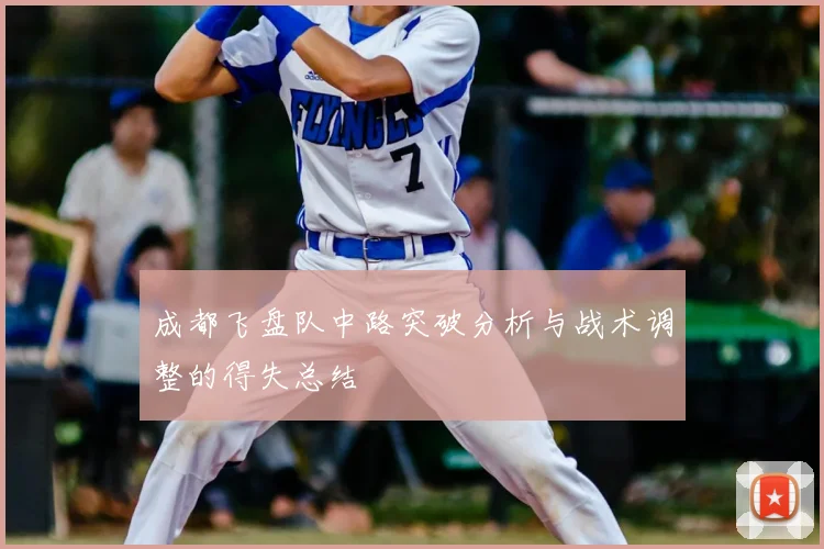 成都飞盘队中路突破分析与战术调整的得失总结