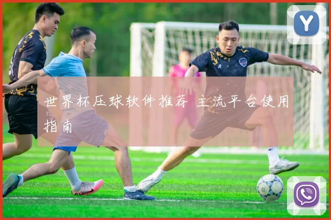 世界杯压球软件推荐 主流平台使用指南