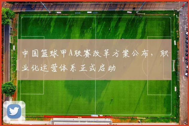 中国篮球甲A联赛改革方案公布,职业化运营体系正式启动