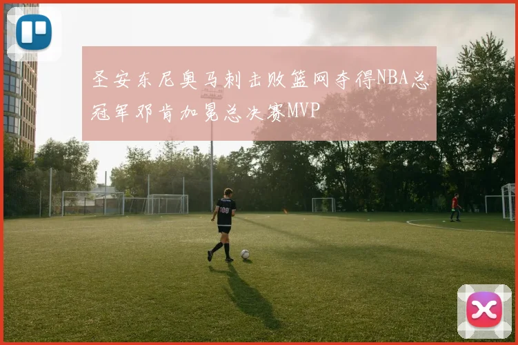 圣安东尼奥马刺击败篮网夺得NBA总冠军邓肯加冕总决赛MVP