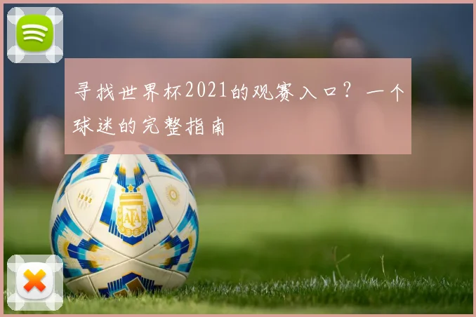 寻找世界杯2021的观赛入口？一个球迷的完整指南