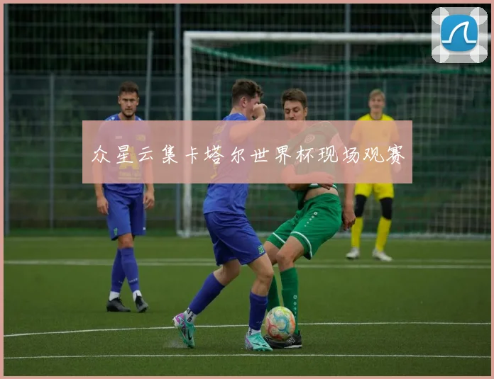 众星云集卡塔尔世界杯现场观赛