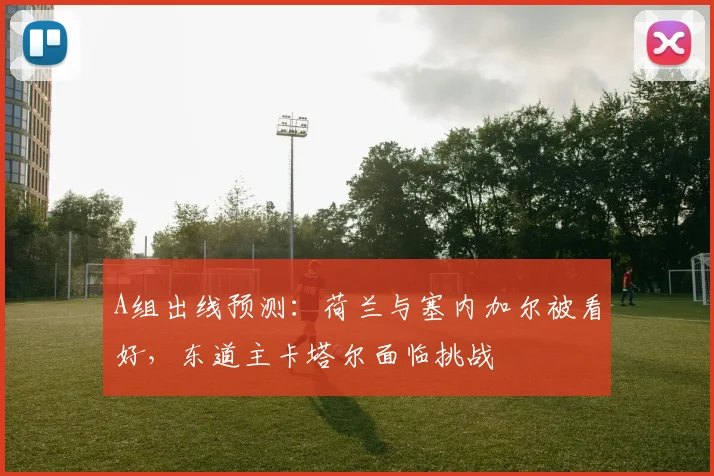 A组出线预测：荷兰与塞内加尔被看好，东道主卡塔尔面临挑战