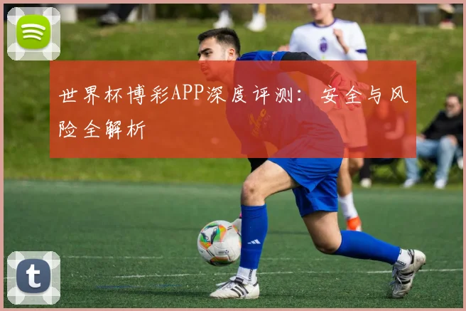 世界杯博彩APP深度评测：安全与风险全解析