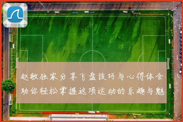 赵敏独家分享飞盘技巧与心得体会助你轻松掌握这项运动的乐趣与魅力